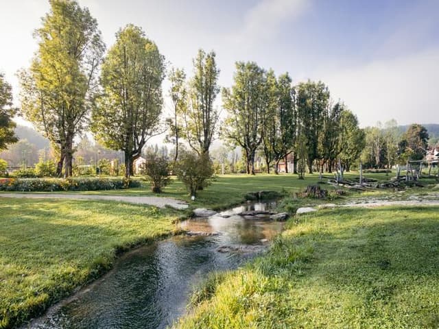 Bewegt im Park - gratis Sportangebot