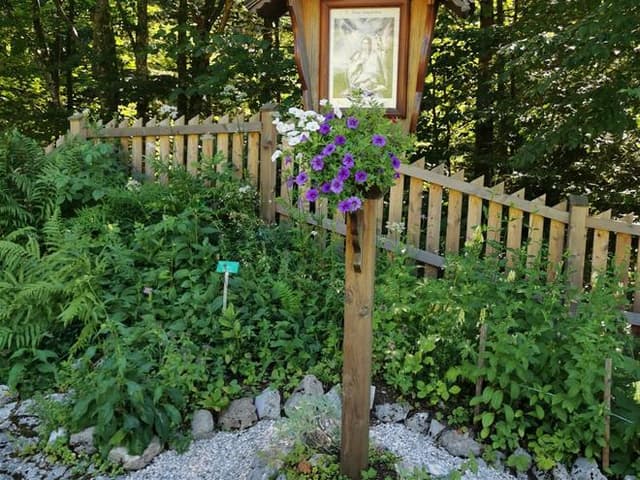 Kräutergarten Führung