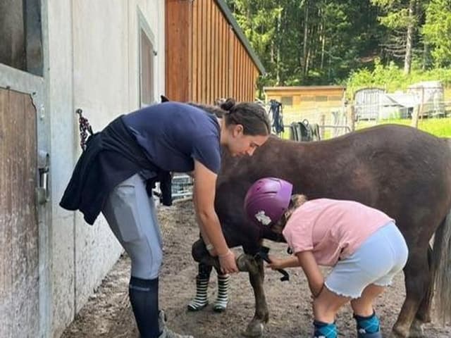 Abenteuer mit 4 Hufen