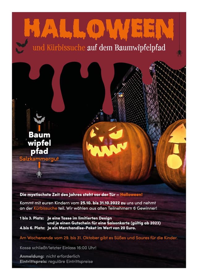 Halloween und Kürbissuche auf dem Baumwipfelpfad