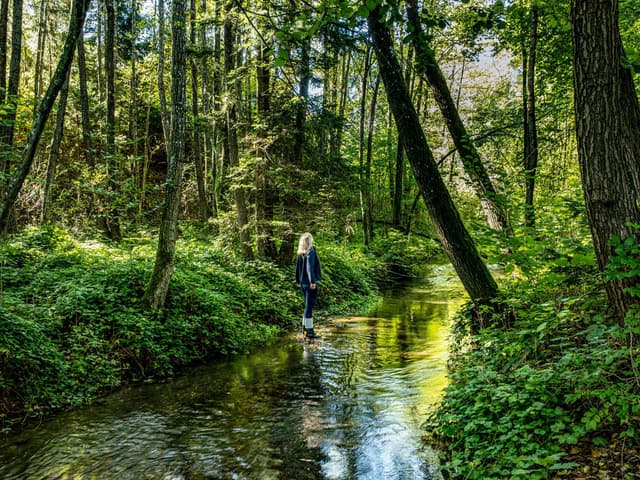 Sinnesreise durch Wald, Wiese und Moor - NATURSCHAUSPIEL
