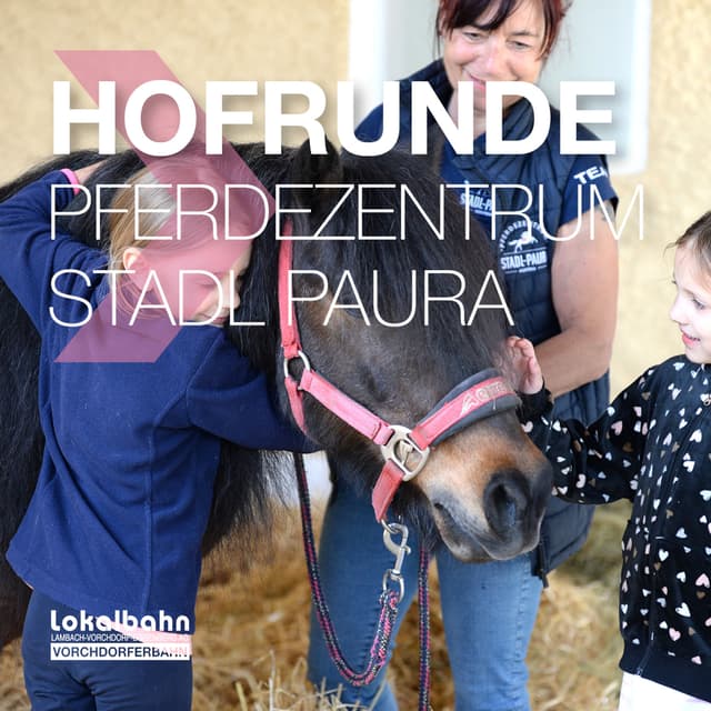 Hofrunde + Haflingerturnier im Pferdezentrum Stadl-Paura