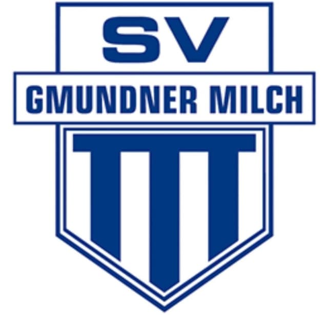 SV Gmundner Milch vs. DSG Union Perg
